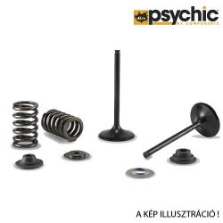  PSYCHIC USA PSYCHIC RACING USA Husaberg kipufog szelep szett 2022
